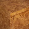 Indus 2 Drawer Burl Chest 6 Indus 2 Drawer Burl Chest thumbnail 6