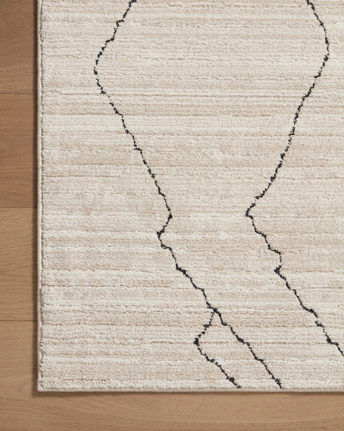 Loloi Darby Rug, 1'6" length x 1'6" width View 5