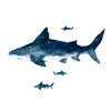 Shark Giant Wall Decals, by York Wall, 3' length x 1'5.25" width x 0.02" depth thumbnail