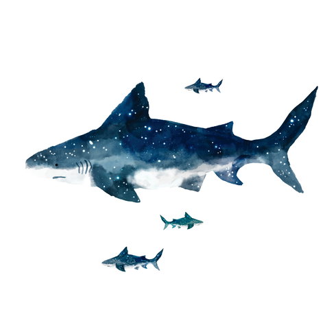 Shark Giant Wall Decals