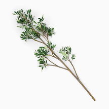 Online Designer Kitchen Faux Black Olive Branch, Green