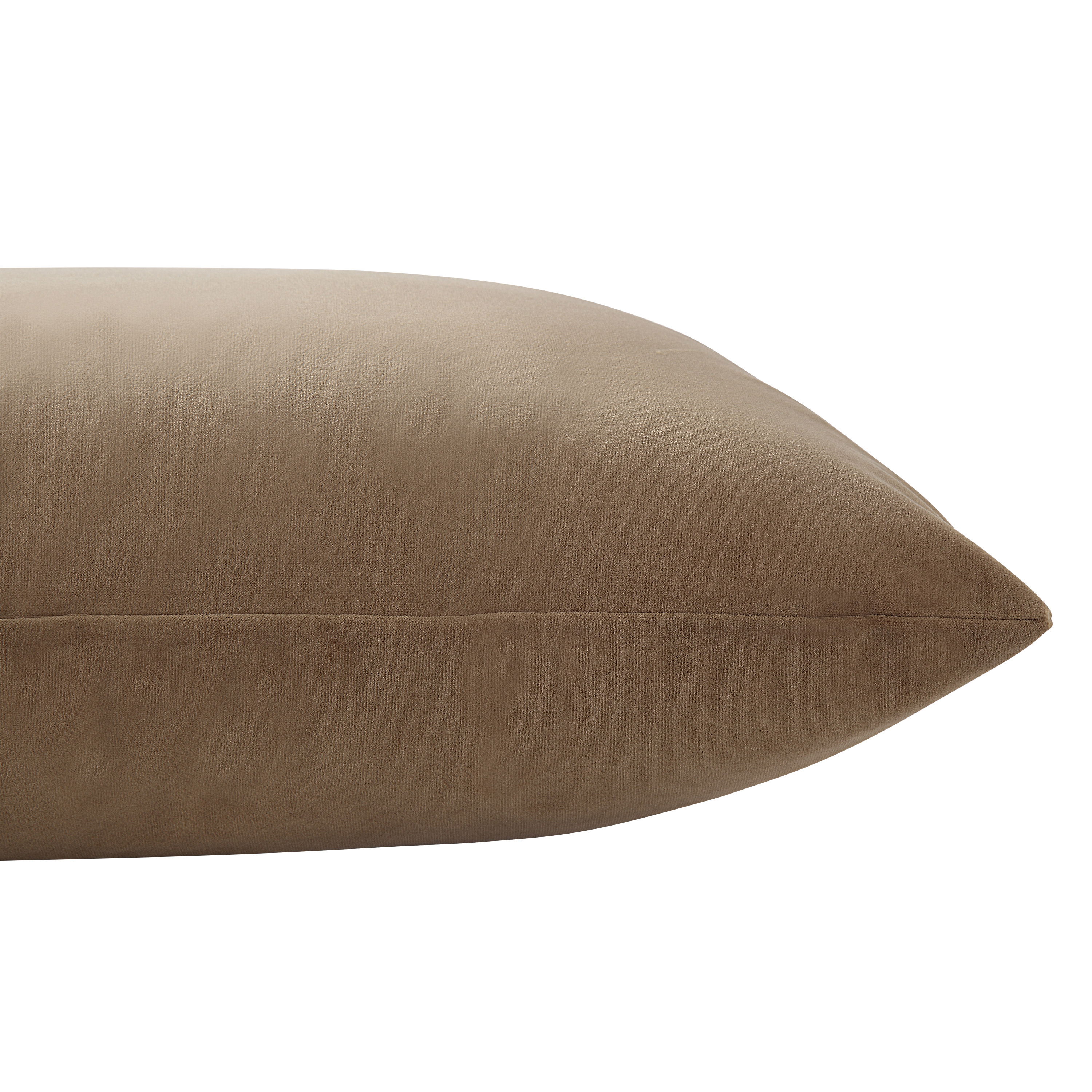Alchemilla Indoor Pillow large image 
