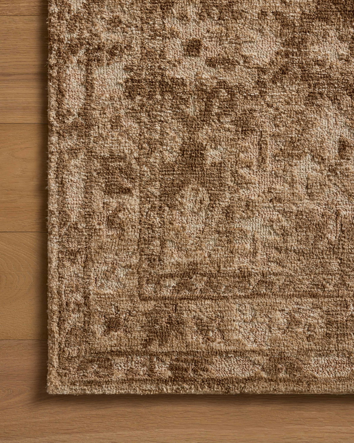 Loloi Percival Rug, 1'6" length x 1'6" width View 5