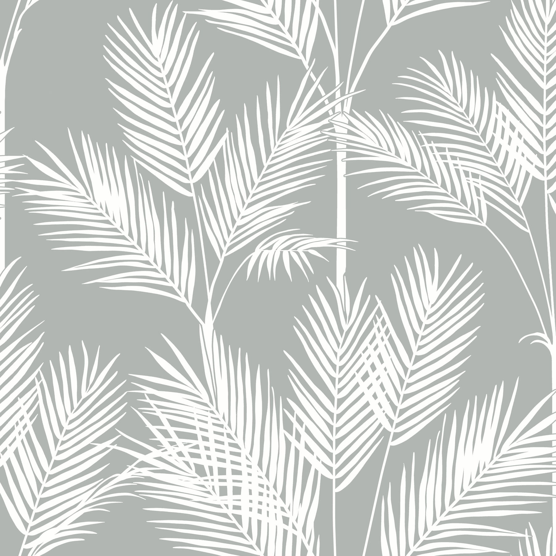 King Palm Silhouette Grey Wallpaper large image 