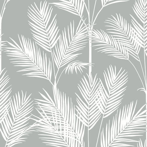 King Palm Silhouette Grey Wallpaper