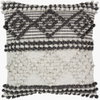 Anders Accent Pillow, Decorative Pillow by Surya, 18" length x 18" width thumbnail