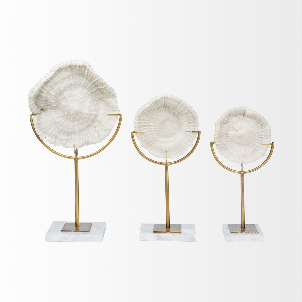Sandy III (Large) 8L x 4W White Coastal Sand Dollar Object, Decorative Object by Mercana, 8.07" length x 3.94" width x 15.16" height View 4