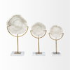 Sandy III (Large) 8L x 4W White Coastal Sand Dollar Object, Decorative Object by Mercana, 8.07" length x 3.94" width x 15.16" height thumbnail 4