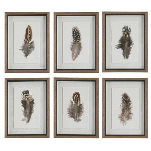 Birds Of A Feather Framed Prints Set/6