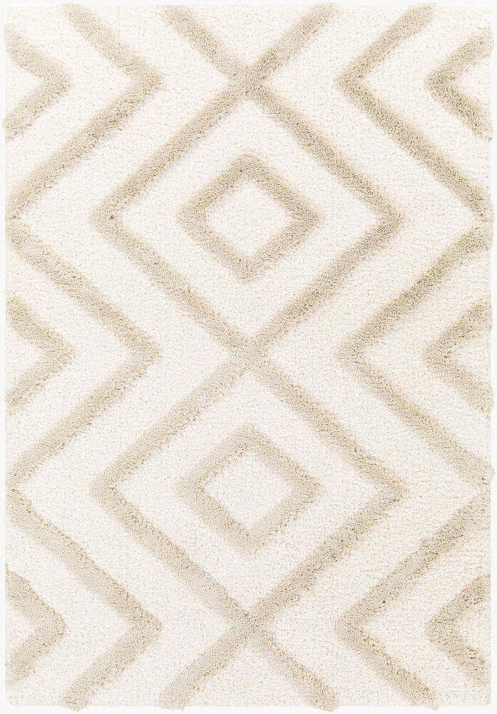Hudson Shag Machine Woven Rug large image 