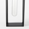 Boyer  Black Metal with Glass Set of Two Test Tube Decorative Objects, by Mercana, 5.12" length x 2.96" width x 12.01" height thumbnail 7