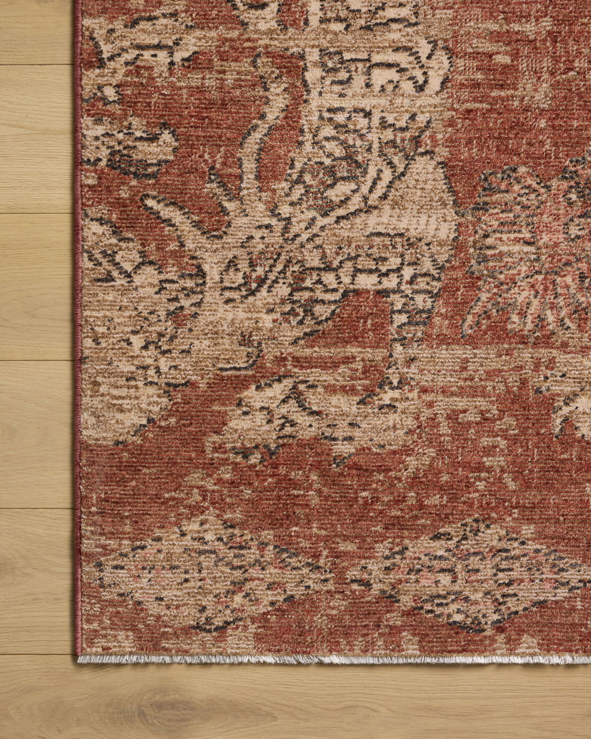 Loloi Winchester Rug, 2'3" length x 3'10" width View 4