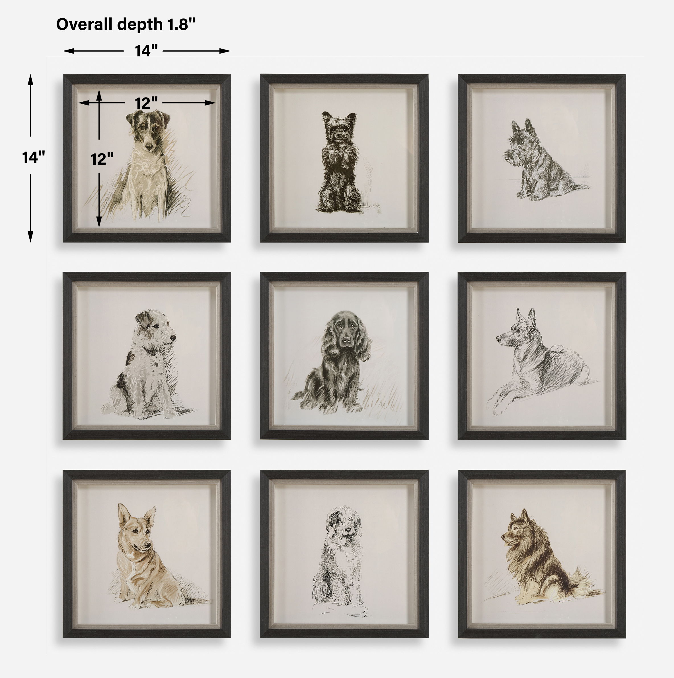 Loyal Companion Framed Dog Prints, S/9 large image 