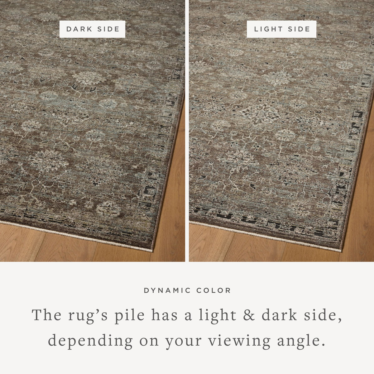 Loloi Briar Rug, 3'7" length x 7'9" width View 4