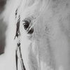 Eyes On The Prize Framed Print thumbnail 5