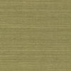 Maguey Sisal Fern Wallpaper thumbnail 0