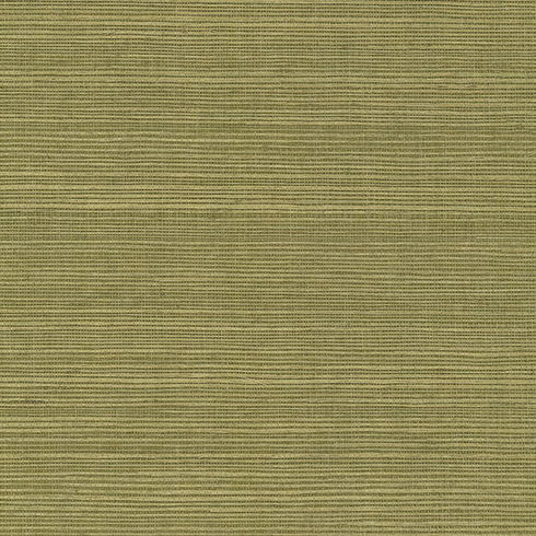 Maguey Sisal Fern Wallpaper