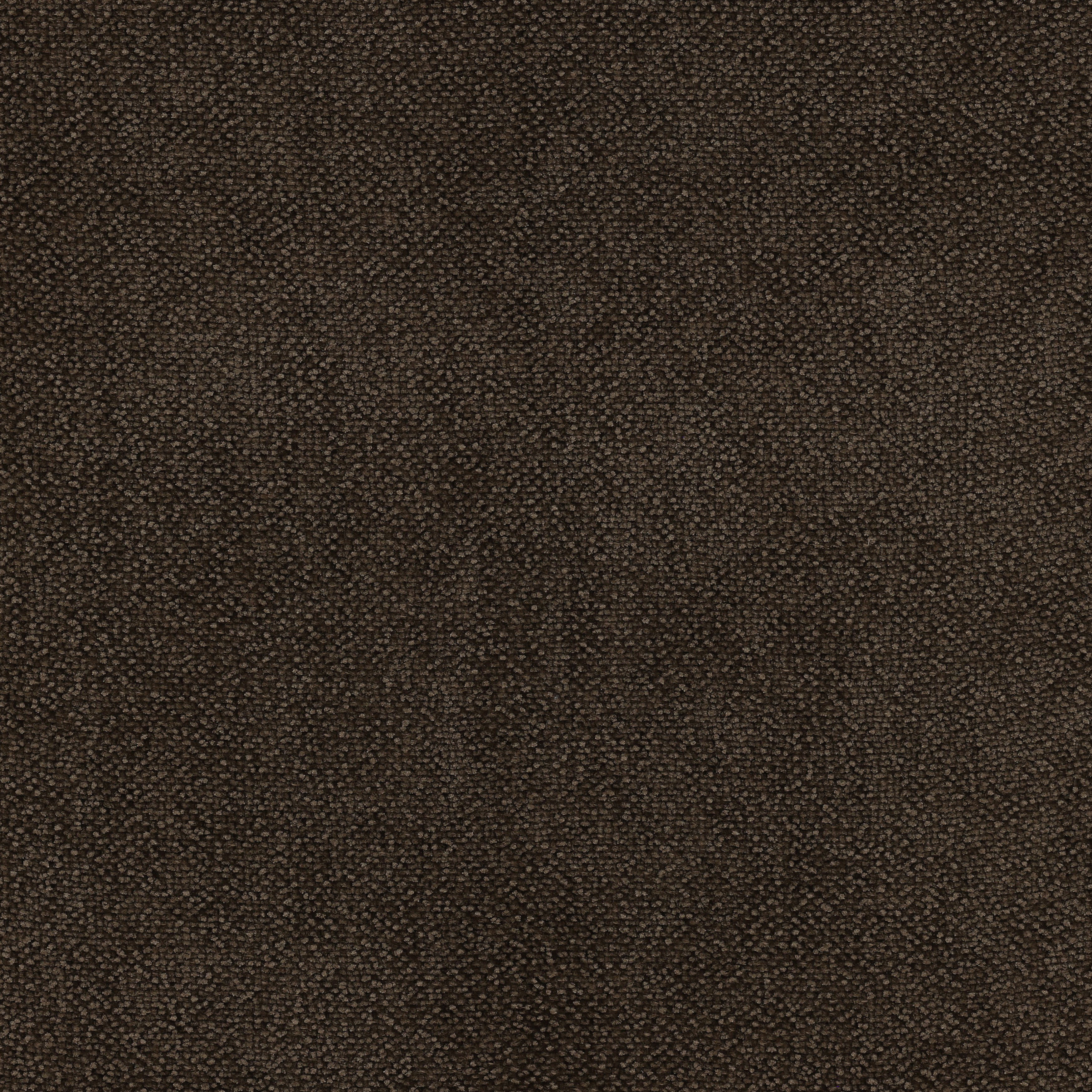 Marvin Dining Chair Olive, by Dovetail, 18.5" width x 33.75" height x 24" depth View 5