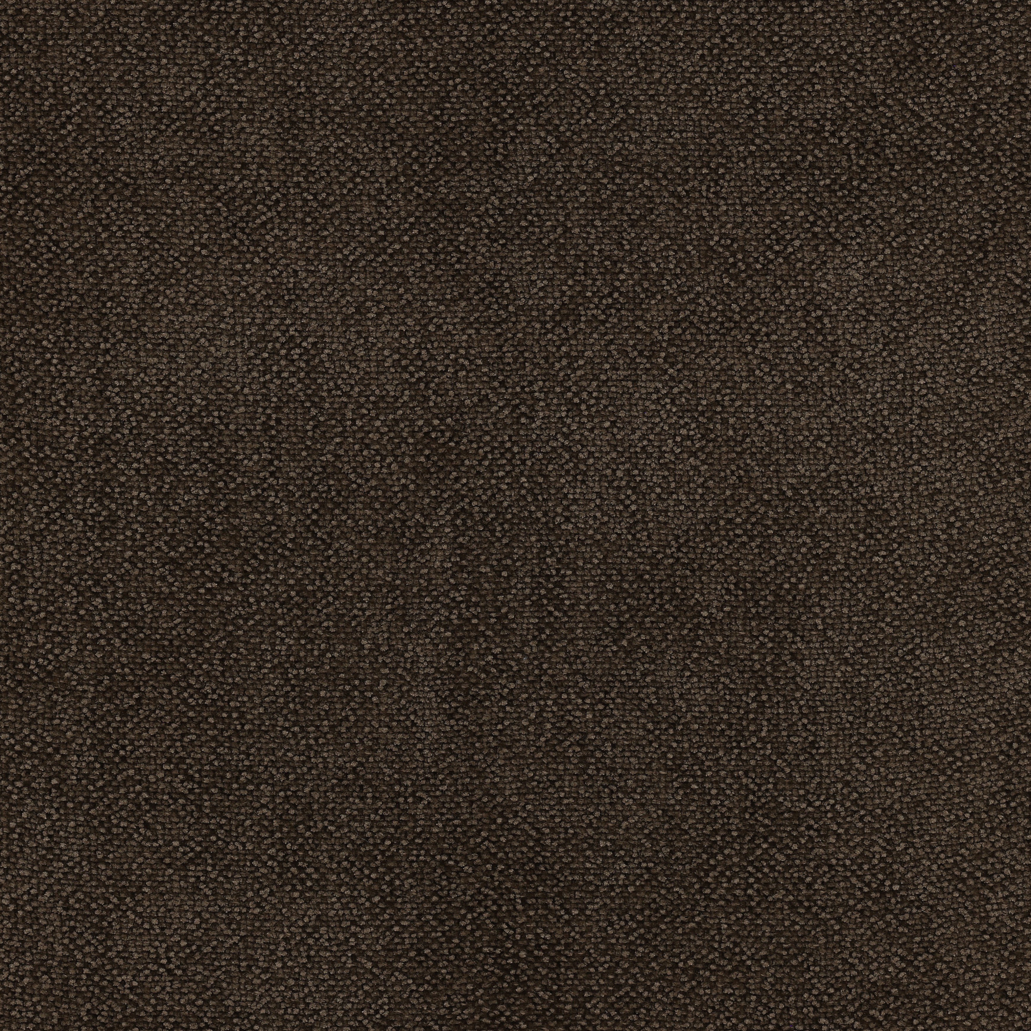 Marvin Dining Chair Olive, by Dovetail, 20.75" width x 32" height x 26.75" depth View 5