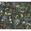 Juniper Forest Black Wallpaper thumbnail 0