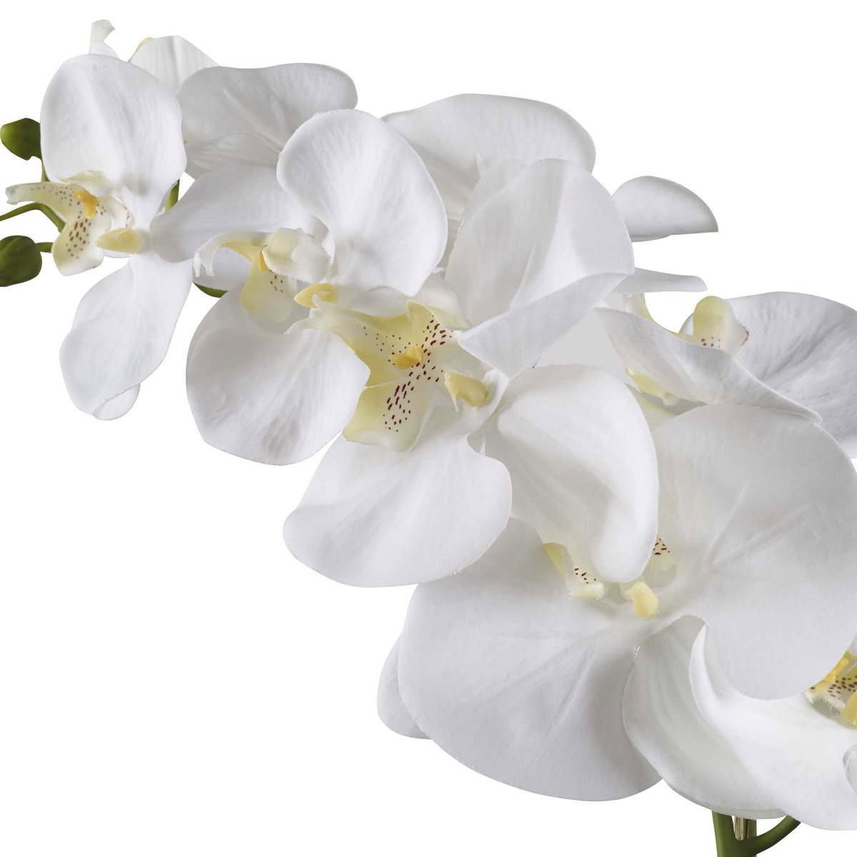 Cami White Orchid, Artificial Plants & Flower by Uttermost, 14" width x 24" height x 8" depth View 4