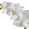 Cami White Orchid, Decorative by Uttermost, 14" width x 24" height x 8" depth thumbnail 4