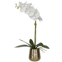 Online Designer Bedroom Cami Orchid With Brass Pot