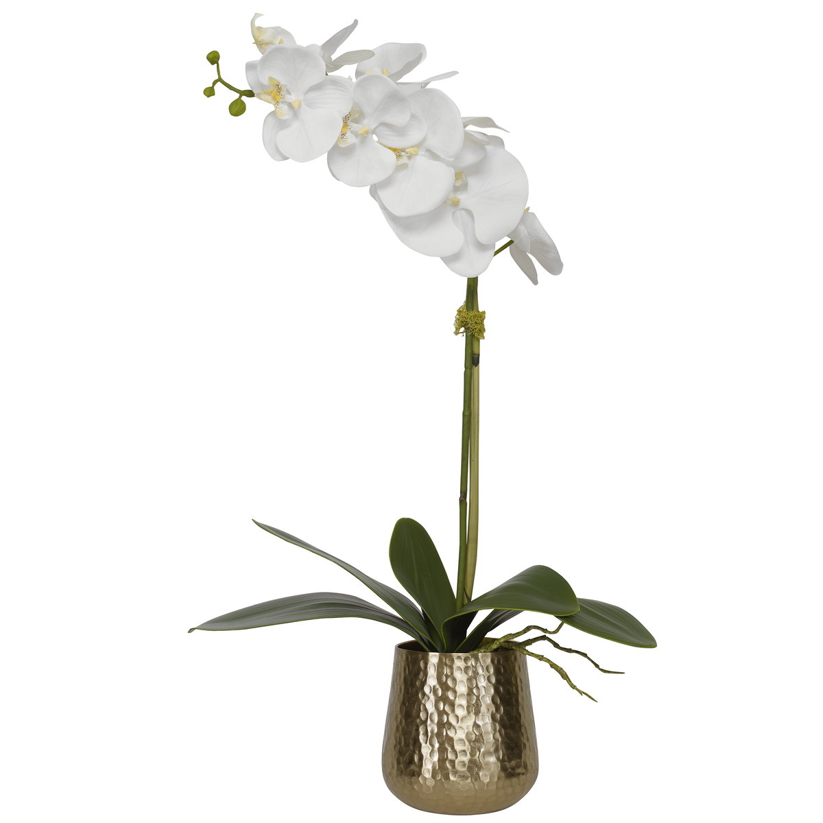 Cami Orchid With Brass Pot, Artificial Plants & Flower by Uttermost, 14" width x 24" height x 8" depth View 1