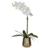 Cami Orchid With Brass Pot, Artificial Plants & Flower by Uttermost, 14" width x 24" height x 8" depth thumbnail 1