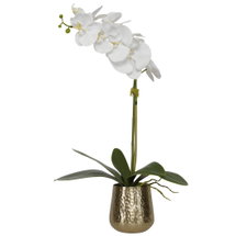 Online Designer Bathroom Cami Orchid With Brass Pot
