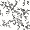 Creeping Fig Vine Black & White Wallpaper, by York Wall, 33' length x 1'8.5" width x 0.02" depth thumbnail