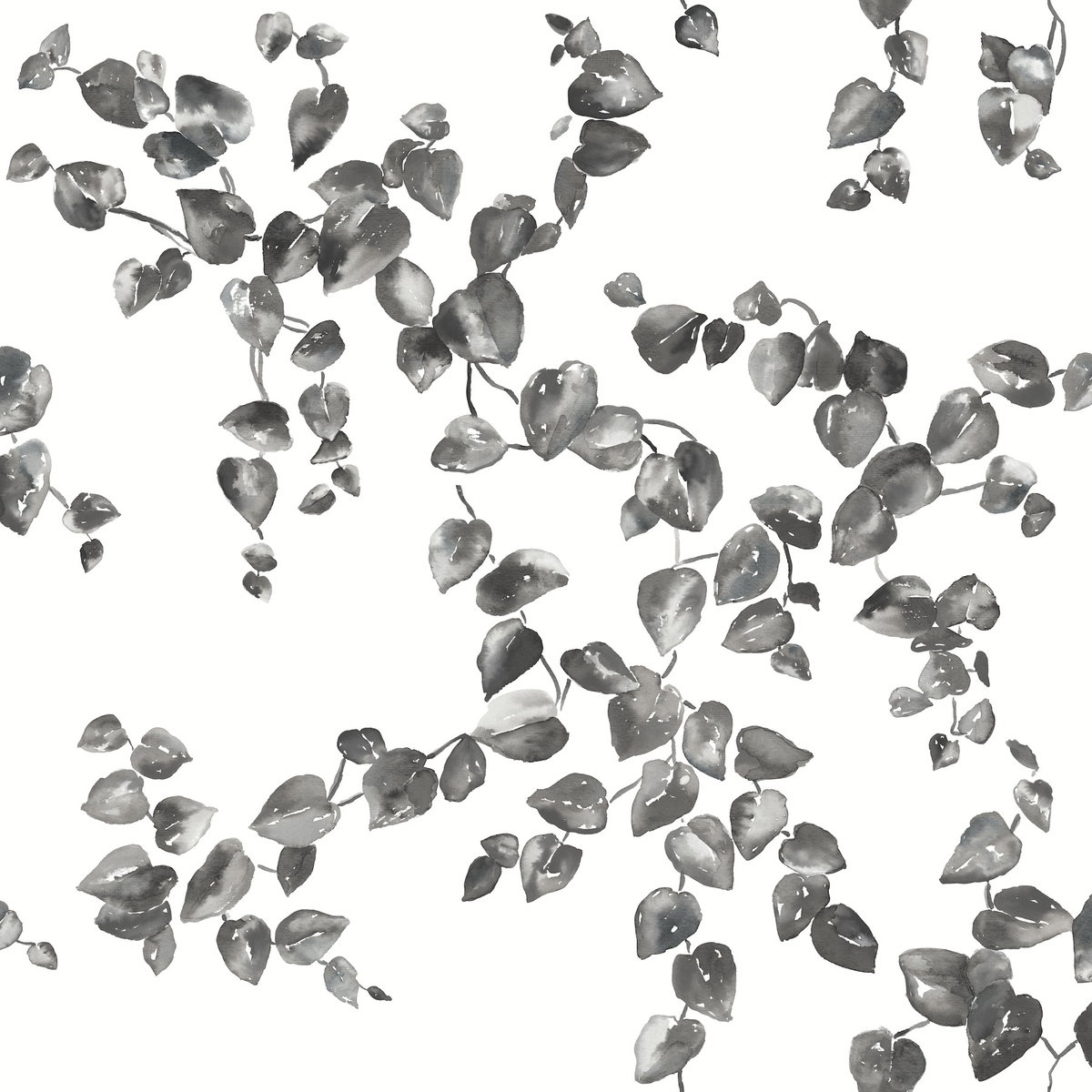 Creeping Fig Vine Black & White Wallpaper, by York Wall, 33' length x 1'8.5" width x 0.02" depth