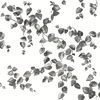 Creeping Fig Vine Black & White Wallpaper thumbnail 0