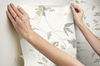 Linden Flower Soft Neutral Peel & Stick Wallpaper thumbnail 7