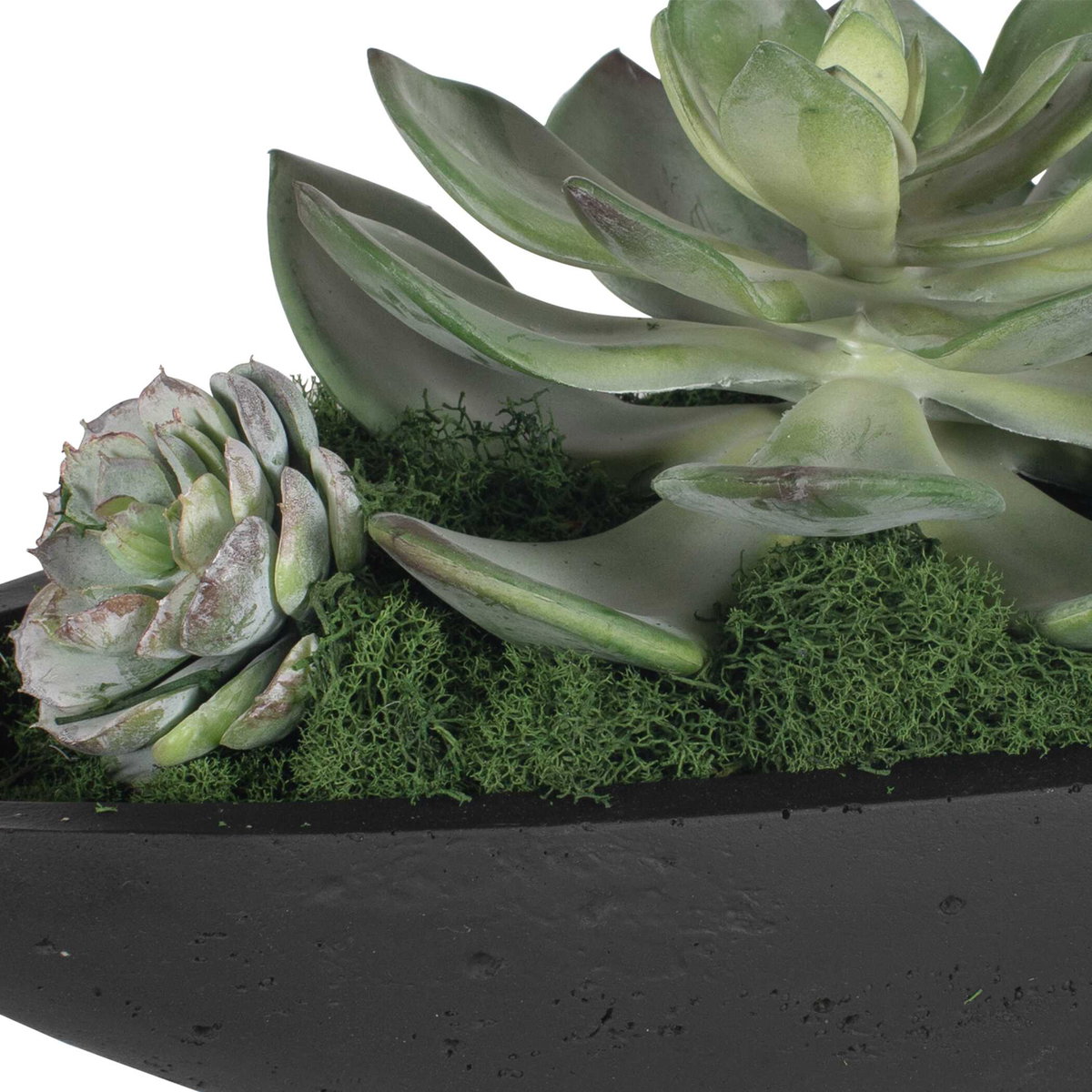 Verde Succulent Centerpiece In Bowl, Artificial Plants & Flower by Uttermost, 29" width x 6" height x 8" depth View 8