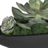 Verde Succulent Centerpiece In Bowl, Artificial Plants & Flower by Uttermost, 29" width x 6" height x 8" depth thumbnail 8