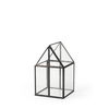 Sikes (Small) 6L x 6W x 10H Glass Terrarium, Boxe by Mercana, 6.1" length x 6.1" width x 10.04" height thumbnail 1
