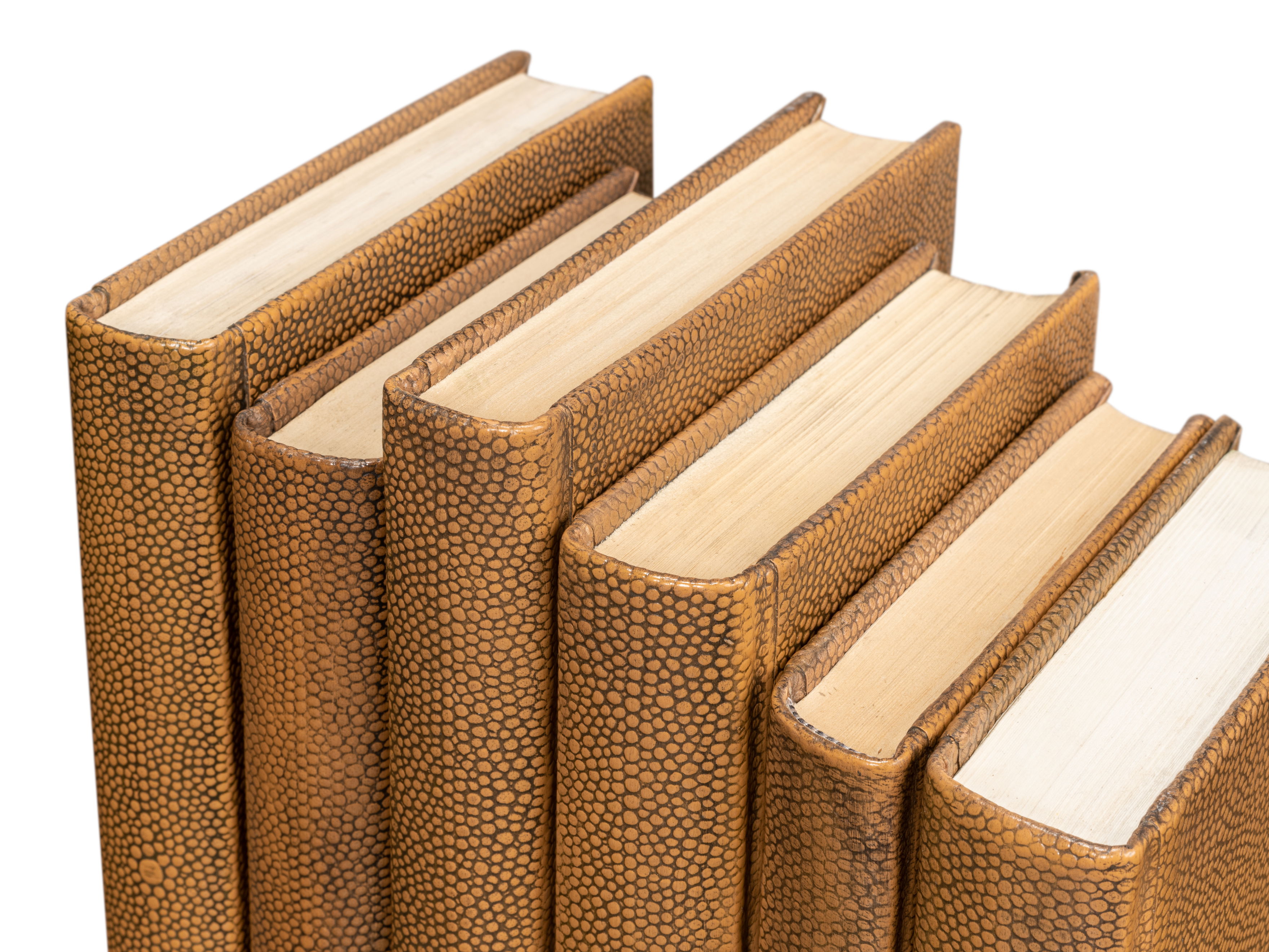 Shagreen Books  Set Of 12  Tawny Brown large image 