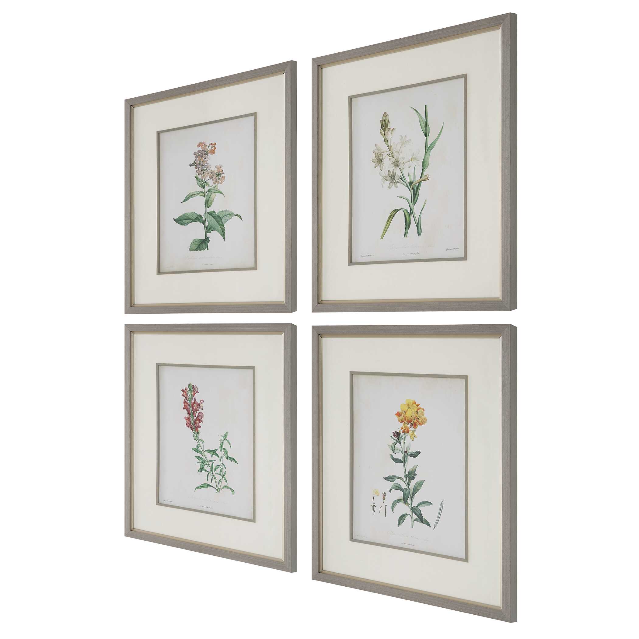 Heirloom Blooms Study Framed Prints Set/4 large image 