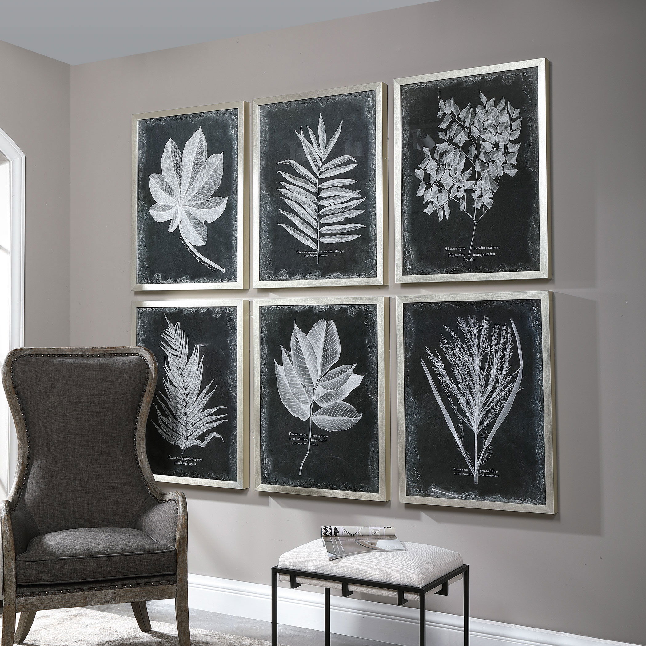 Foliage Framed Prints, S/6 large image 