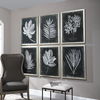 Foliage Framed Prints, S/6 thumbnail 6