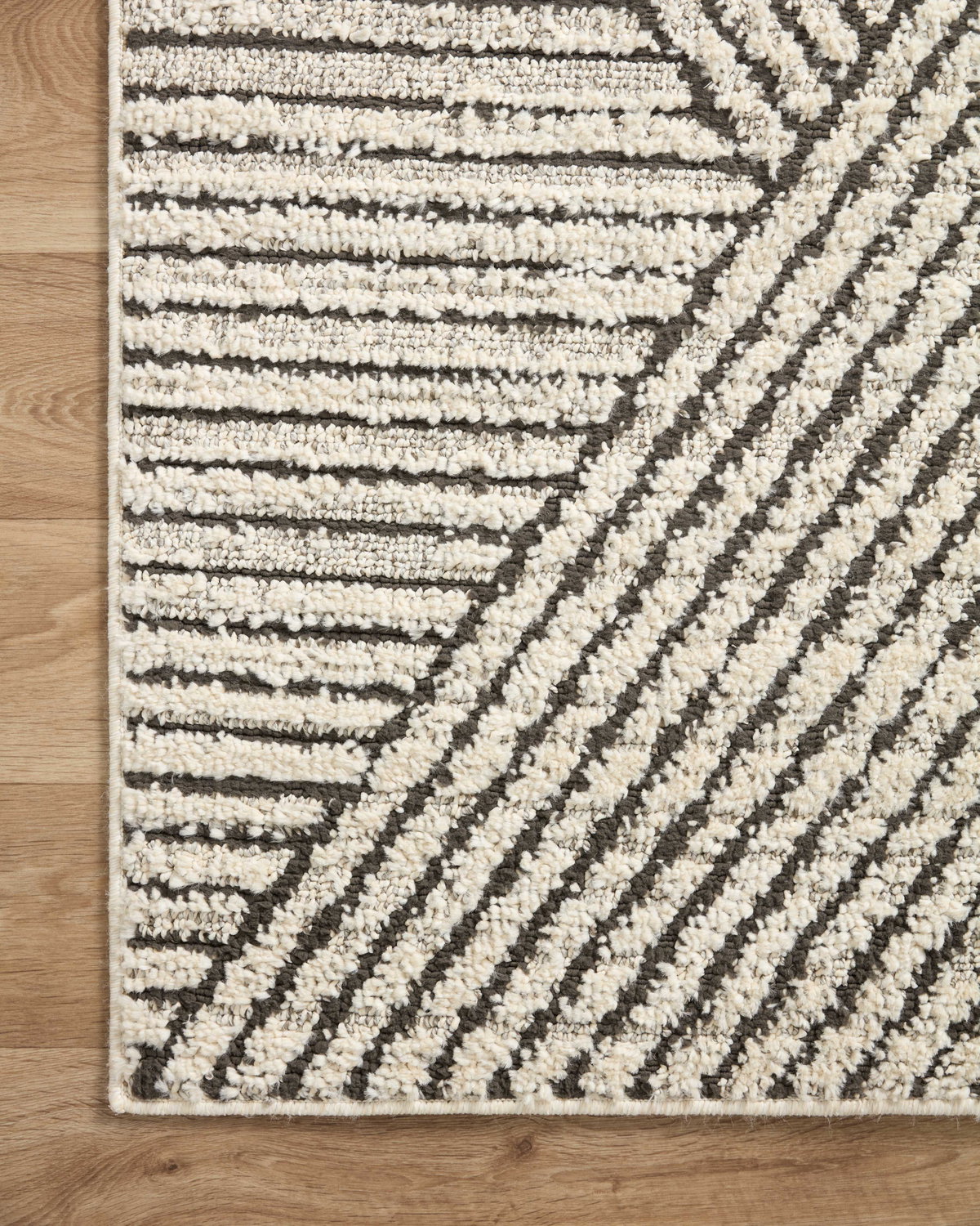 Loloi Fabian Rug, 1'6" length x 1'6" width View 5