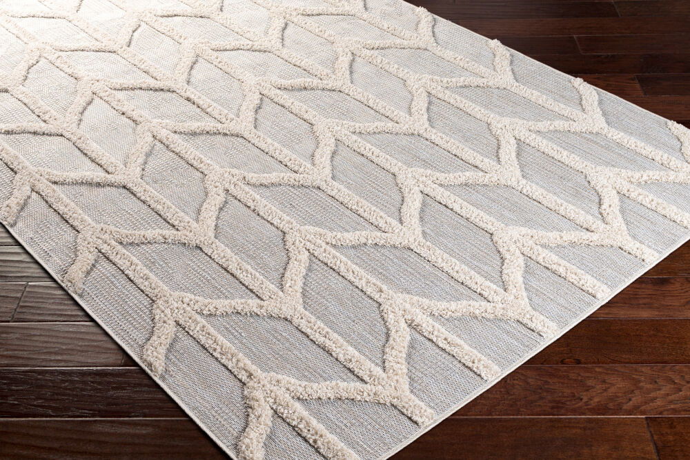 Toledo Machine Woven Rug, by Surya, 7' length x 5'3" width