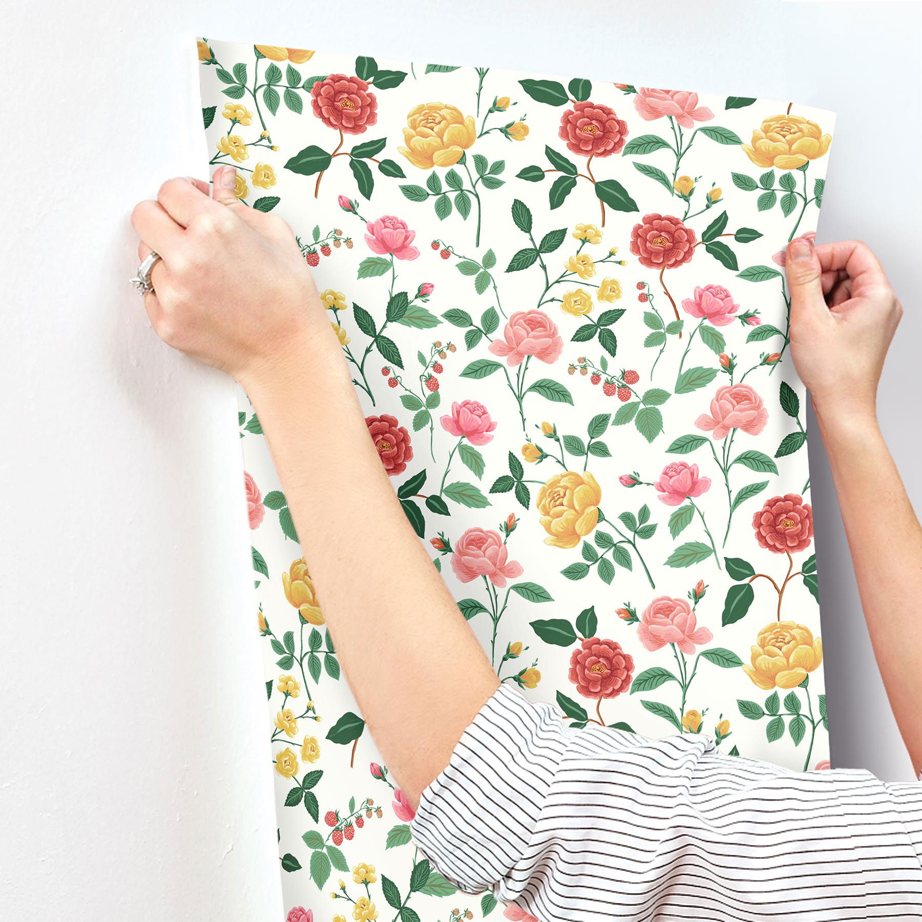 Roses Blush Wallpaper large image 