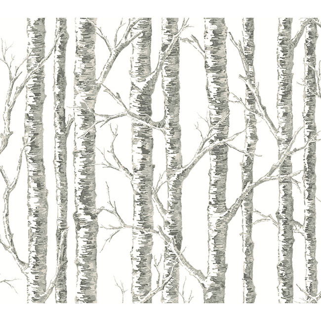 Paper Birch White & Grey Wallpaper large image 