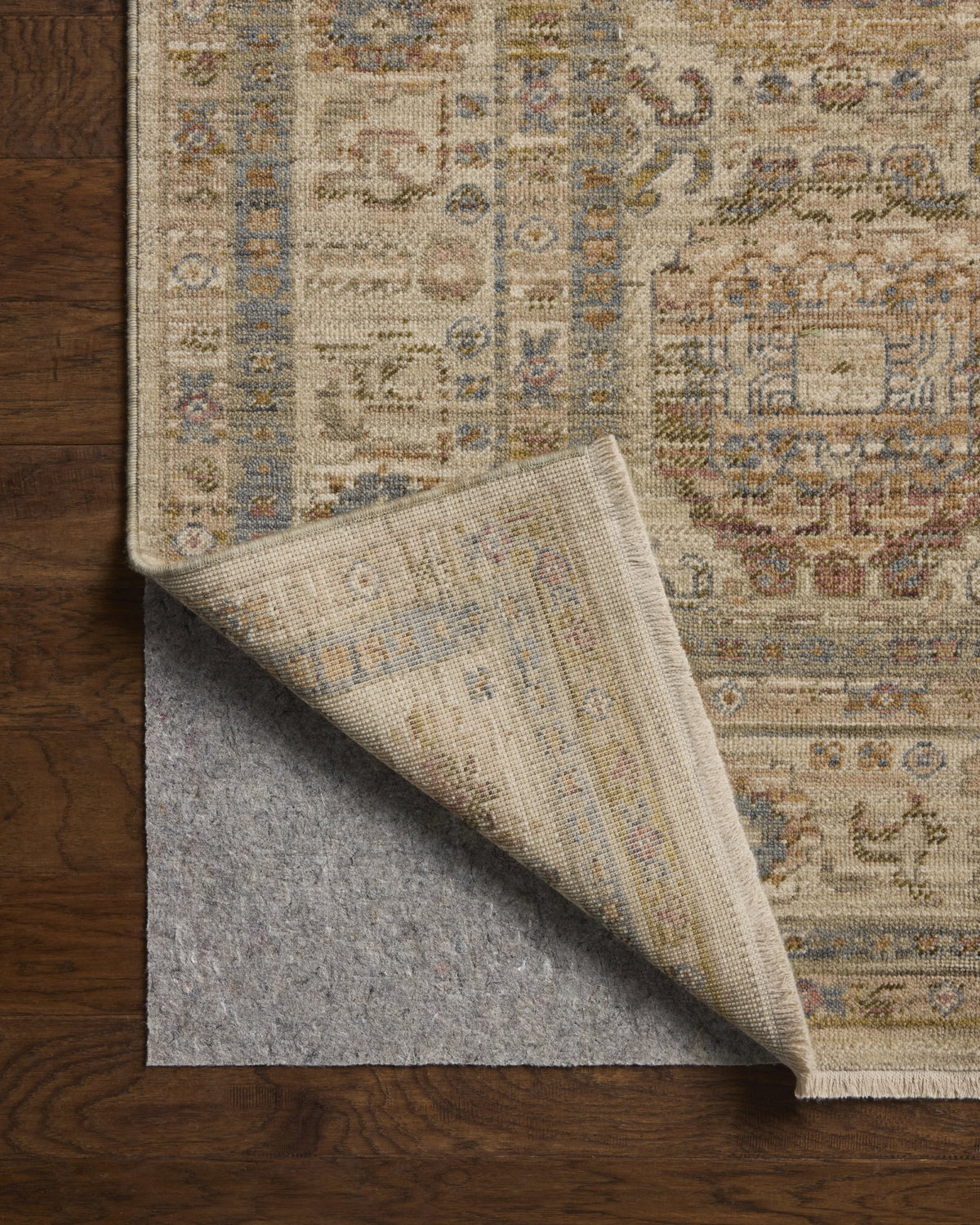 Loloi Reign Rug, 2'10" length x 2'10" width View 9