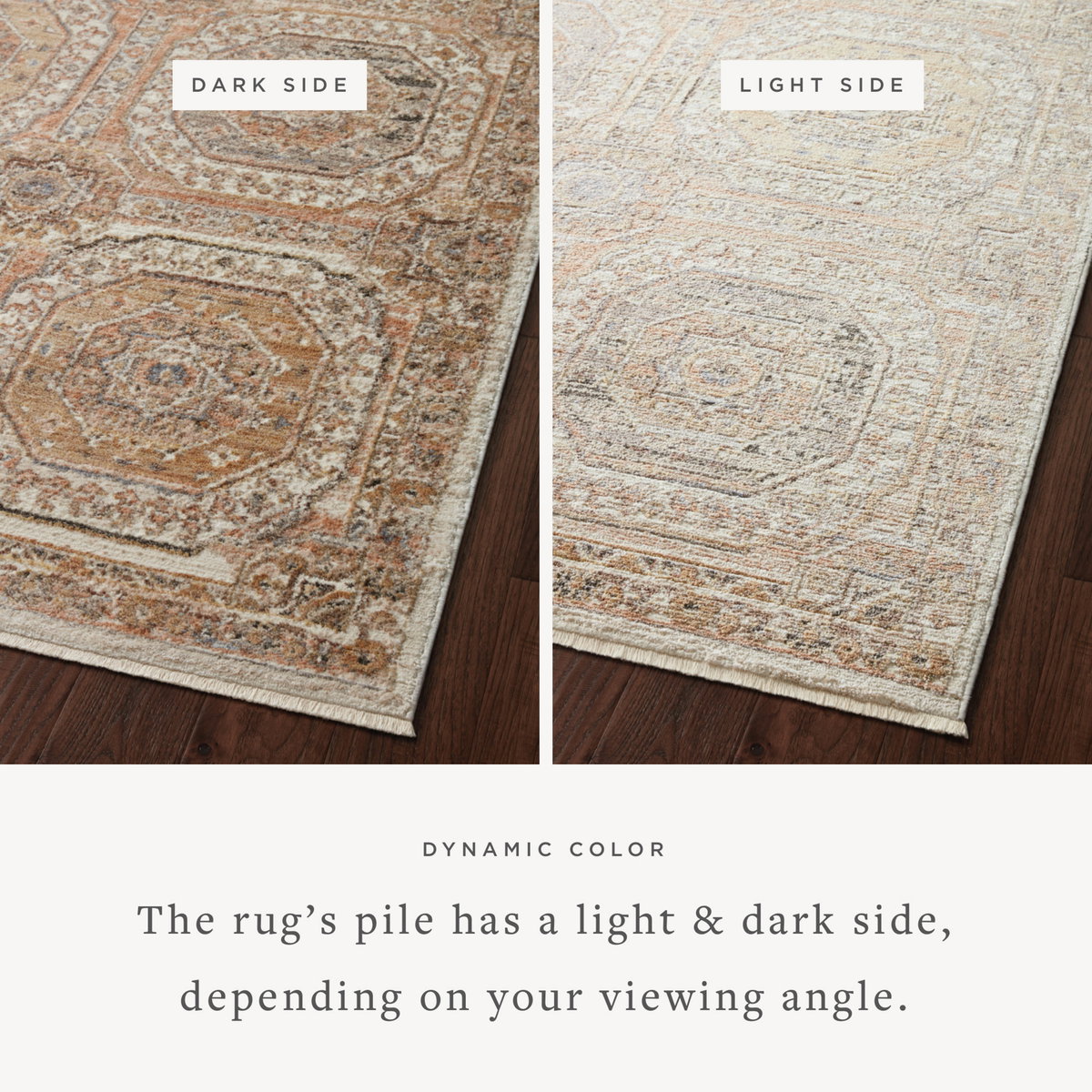 Loloi Sonnet Rug, 2'6" length x 4' width View 2