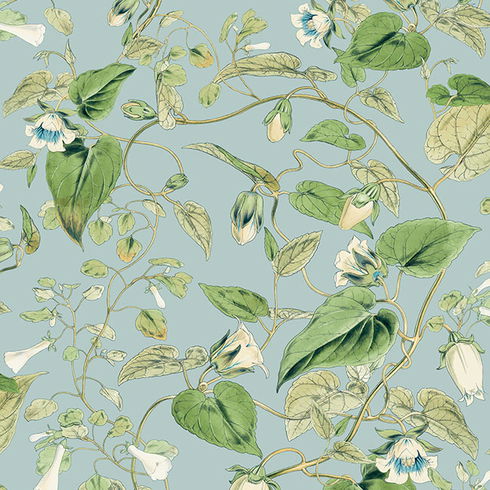 Moon Flower Sky Blue Wallpaper