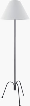 Calvinia Accent Floor Lamp, by Surya, 16" width x 60" height thumbnail