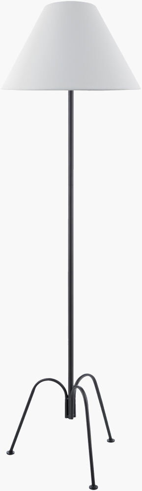 Calvinia Accent Floor Lamp